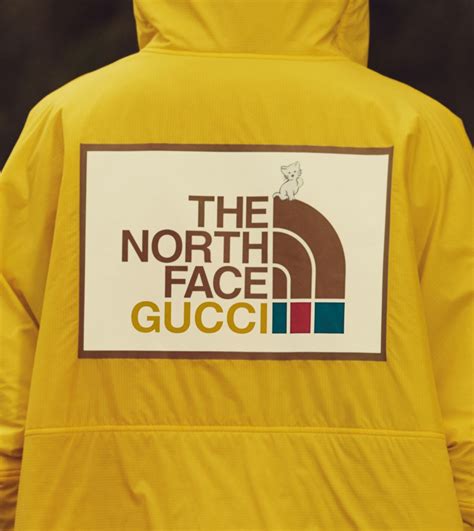 gucci & north face|gucci japan.